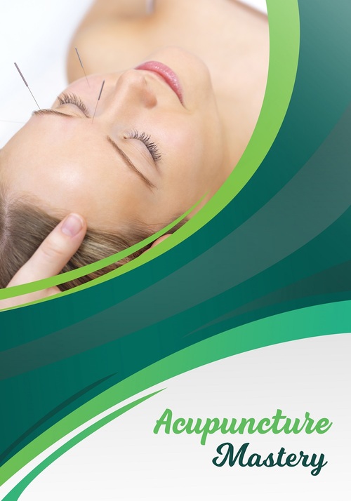 Product picture Acupuncture Mastery